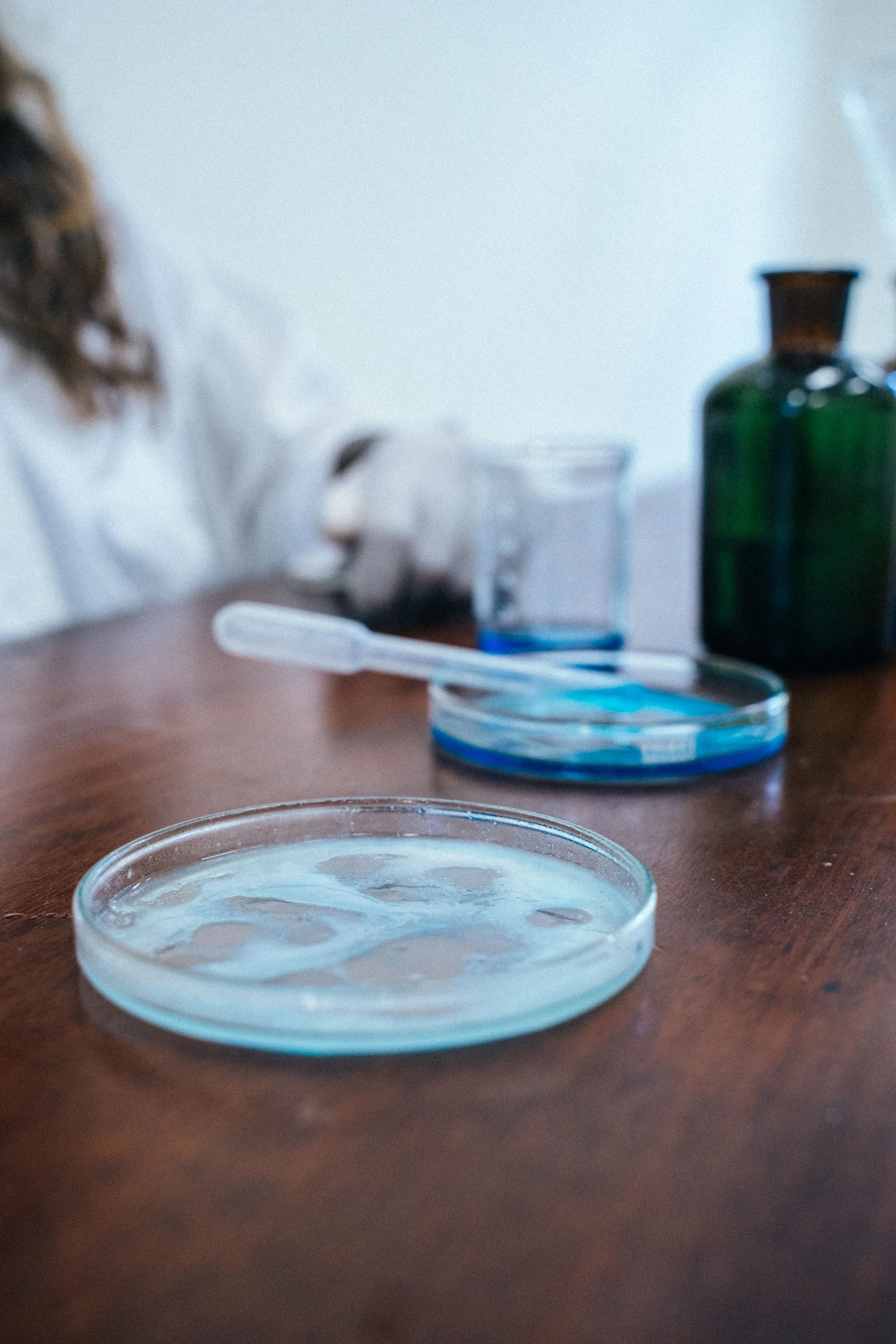 Laboratory worker with Petri dishes and glassware
